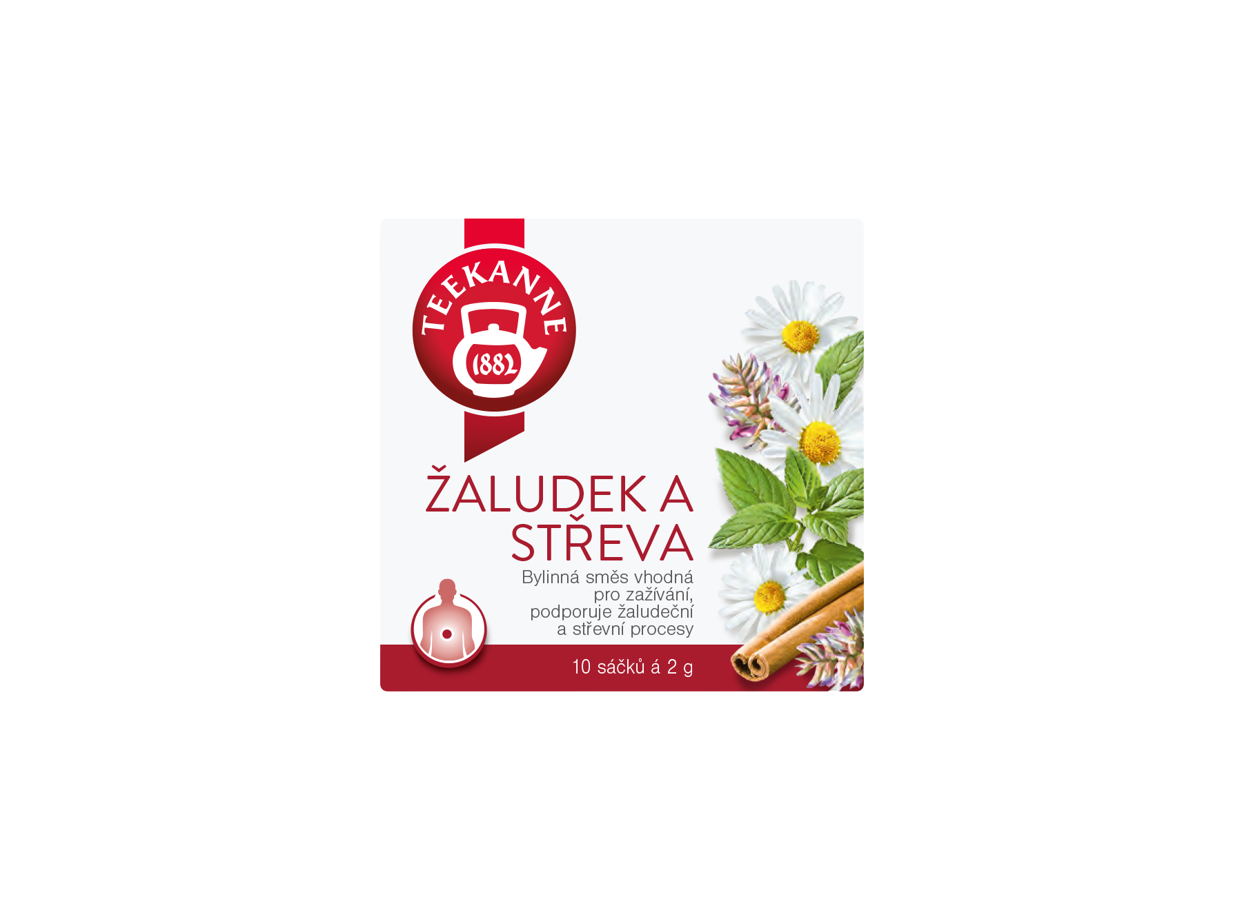 Žaludek a střeva